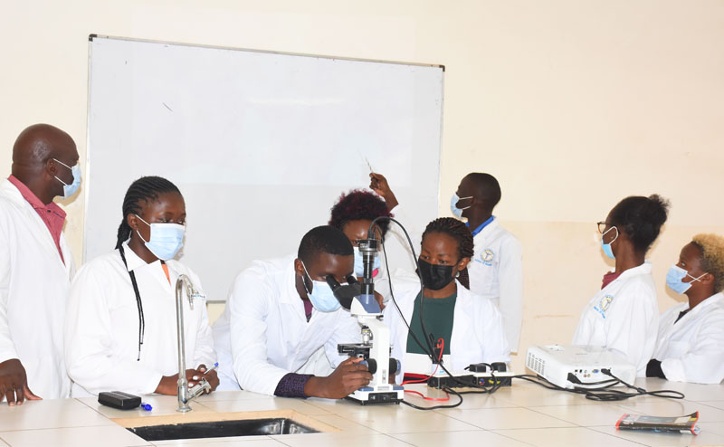 Undergraduate Programmes